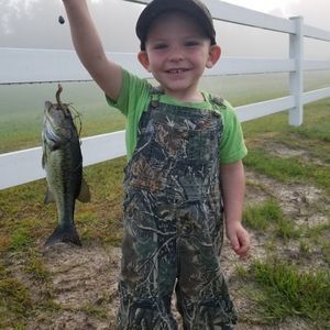 Meet your Posher, Wanda